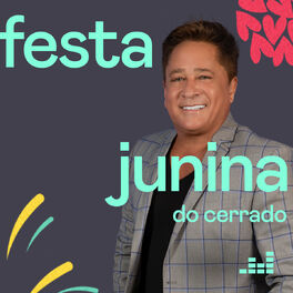 Cover of playlist Festa Junina do Cerrado
