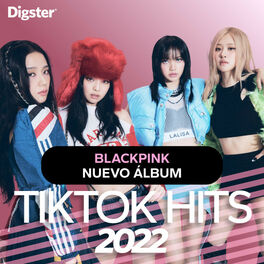 Cover of playlist TikTok Hits 2022