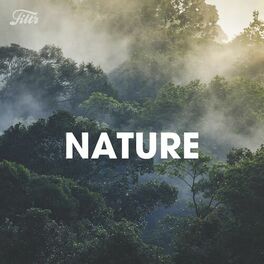 Cover of playlist Nature - The Sound of Calming Rain Forest