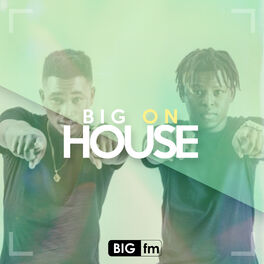 Cover of playlist Big On House