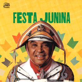 Cover of playlist Festa Junina 2023 - Só As Melhores | Forró Antigo