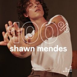 Download CD 100% Shawn Mendes 2020