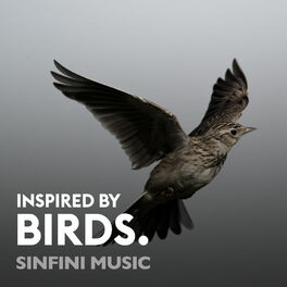 Cover of playlist Birds: Inspired by