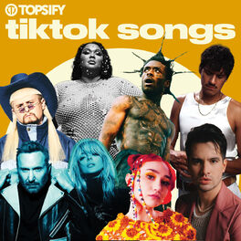 Cover of playlist TikTok Song