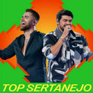 Top Sertanejo  | Mais Tocadas 2024​ | Hits 2024