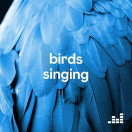 Cover of playlist Birds Singing