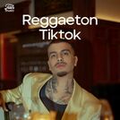 Reggaeton TikTok 2024 🔥 TikTok en Espanõl