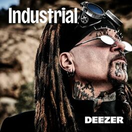 Cover of playlist Industrial