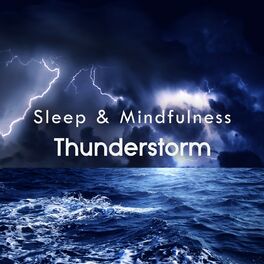 Cover of playlist Thunderstorm Sleep & Relax Sounds