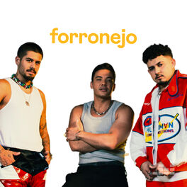 Cover of playlist Forronejo
