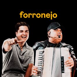 Cover of playlist Forronejo