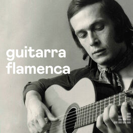 Cover of playlist Guitarra Flamenca