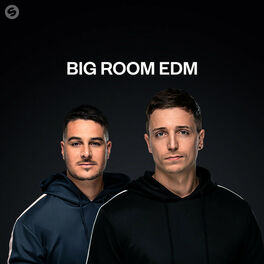 Cover of playlist Big Room EDM