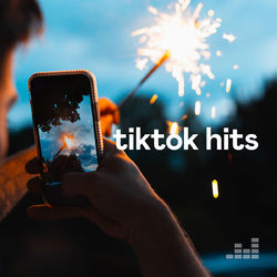 Download CD TikTok Hits 2020