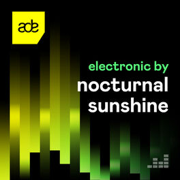 Cover of playlist Electronic by Nocturnal Sunshine