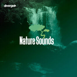 Cover of playlist Sounds of Nature - Nature Sounds - Songs for Yoga