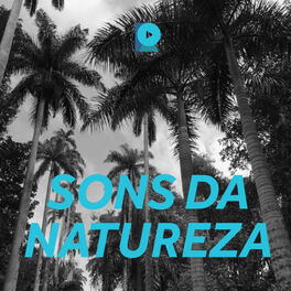 Cover of playlist Sons da Natureza