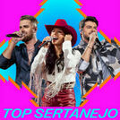 Top Sertanejo  | Mais Tocadas 2024​ | Hits 2024