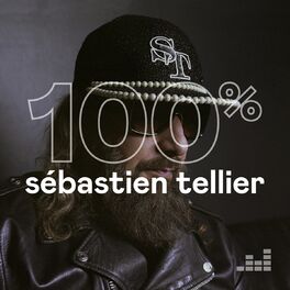 Cover of playlist 100% Sébastien Tellier