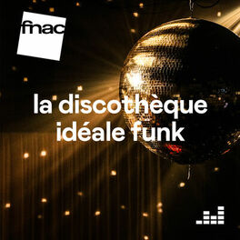 Cover of playlist Discothèque Idéale Funk