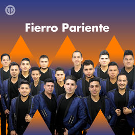 Cover of playlist FIERRO PARIENTE!
