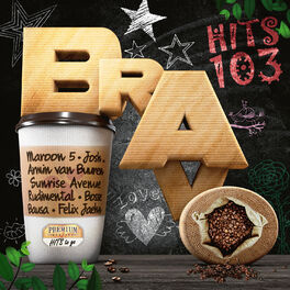 Cover of playlist BRAVO Hits 103