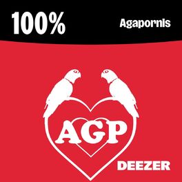 Cover of playlist 100% Agapornis
