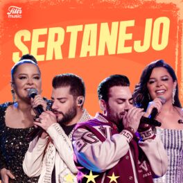 Cover of playlist Top Sertanejo 2024 ⭐ Hits Sertanejos!