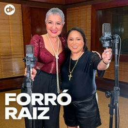 Cover of playlist Forró Raiz - Forró das Antigas