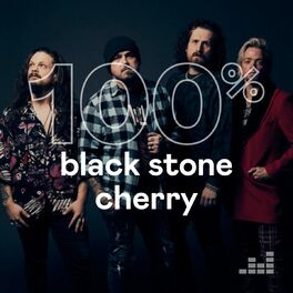 Cover of playlist 100% Black Stone Cherry