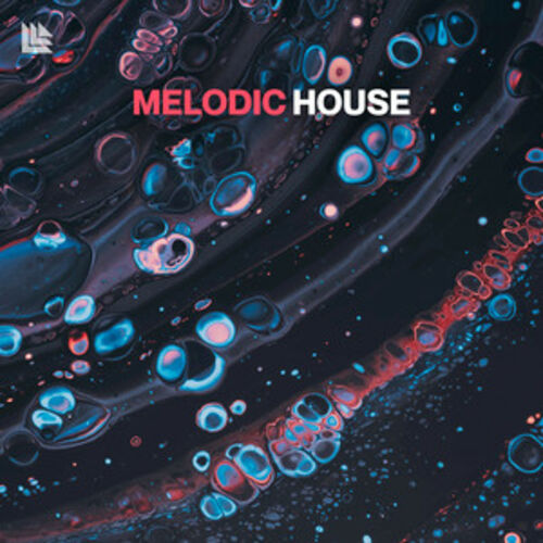 Melodic House 2024 Melodic Techno Playlist Listen On Deezer   500x500 