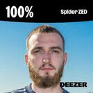 100% Spider ZED