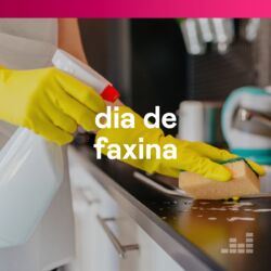 Download Dia de Faxina 2020