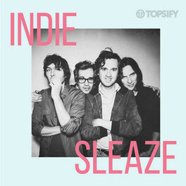 Cover of playlist Indie Sleaze | Classic Indie Throwbacks