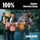 100% Spider Murphy Gang