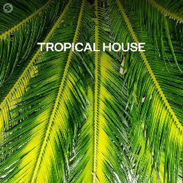 Cover of playlist Deep Tropical House