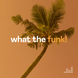 Cover of playlist What The Funk!