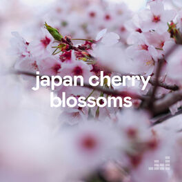Cover of playlist Japan Cherry Blossoms