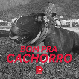 Cover of playlist Bom pra cachorro