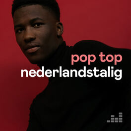 Cover of playlist Pop Top Nederlandstalig