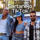 Sertanejo TikTok 2024 🔥 Atualizado!