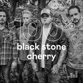 Cover of playlist 100% Black Stone Cherry