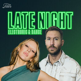 Cover of playlist Late Night Electronic & Dance 2023