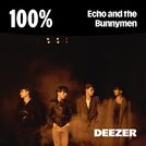 100% Echo and the Bunnymen