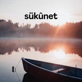 Cover of playlist Sükûnet
