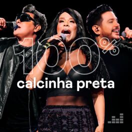 Cover of playlist 100% Calcinha Preta