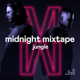 Cover of playlist Midnight Mixtape by Jungle
