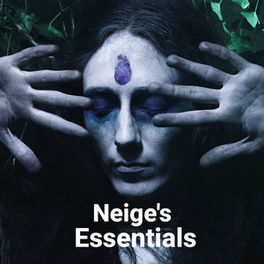 Cover of playlist Neige’s Essentials