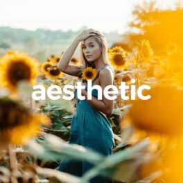 Cover of playlist Aesthetic ✨pop chill, lofi chill, indie chill, cot