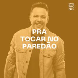 Cover of playlist PRA TOCAR NO PAREDÃO | Piseiro, Sertanejo, Forró